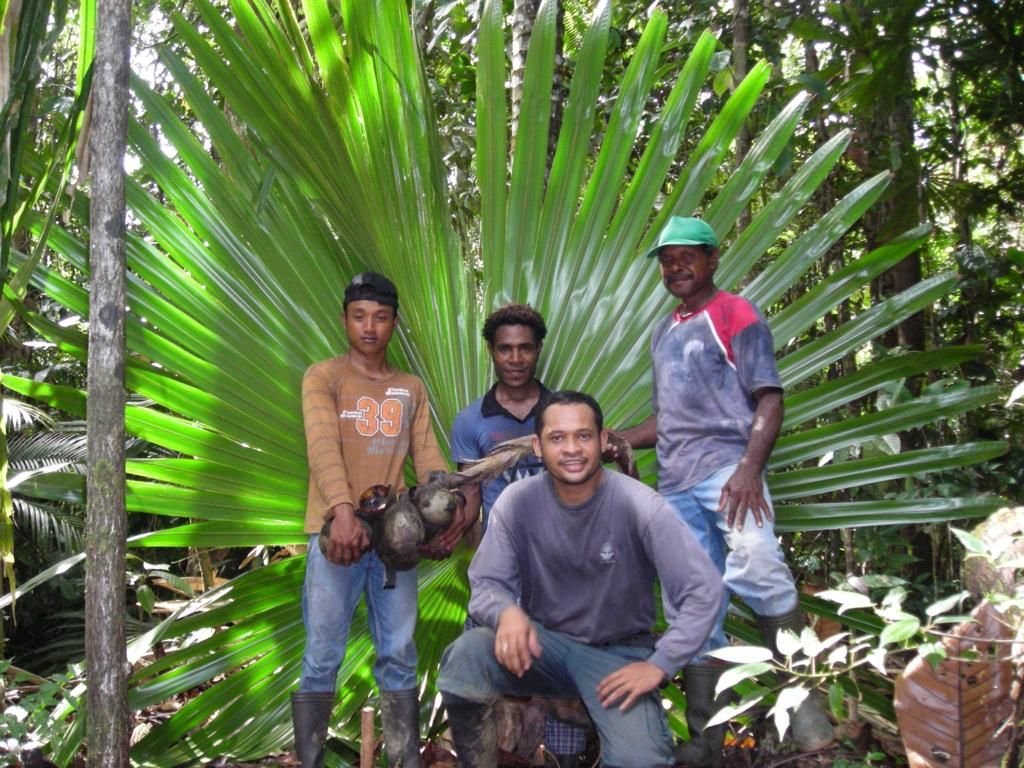 Kepala Badan Riset dan Inovasi Daerah Papua Barat, Charlie Heatubun turut menemukan tujuh dari delapan spesies baru tanaman palem kipas pada pertengahan tahun 2022.