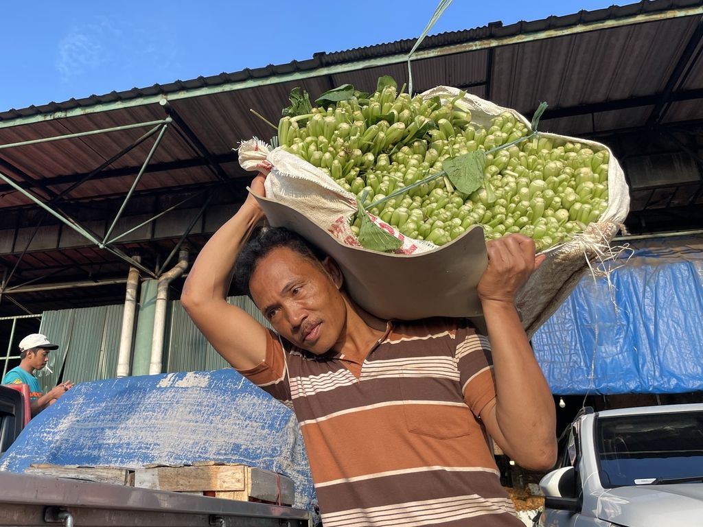 Tamsari (47), kuli angkut asal Batang, Jawa Tengah, memikul sawi dari lapak menuju pikap pembeli di Pasar Induk Kramat Jati, Jakarta Timur, Rabu (8/3/2023).