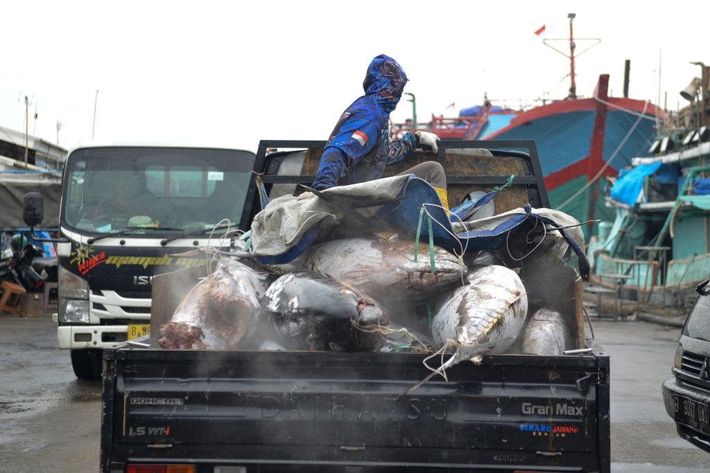 Sejumlah ikan segar dibawa menuju ke gudang penyimpanan ikan di Pelabuhan Perikanan Samudera Nizam Zachman, Jakarta Utara, Rabu (28/12/2022). 