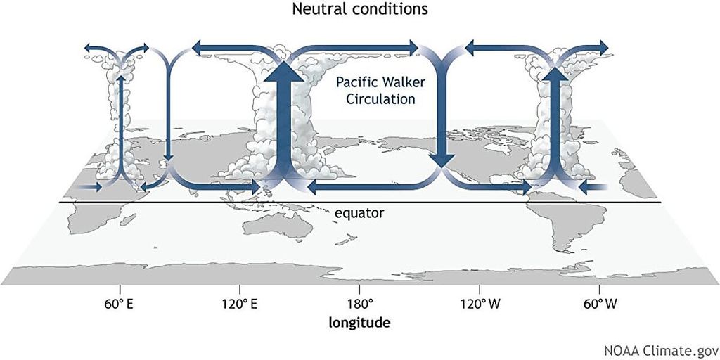 Sirkulasi Walker menggerakkan arus udara di Pasifik, yang kemudian memengaruhi kondisi cuaca di seluruh dunia. Kredit: Fiona Martin (<i>Nature</i>, 2023)