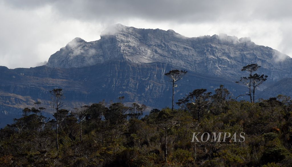 Puncak trikora di kawasan Taman Nasional Lorentz, Kabupaten Jayawijaya, Sabtu (13/11/2021). 