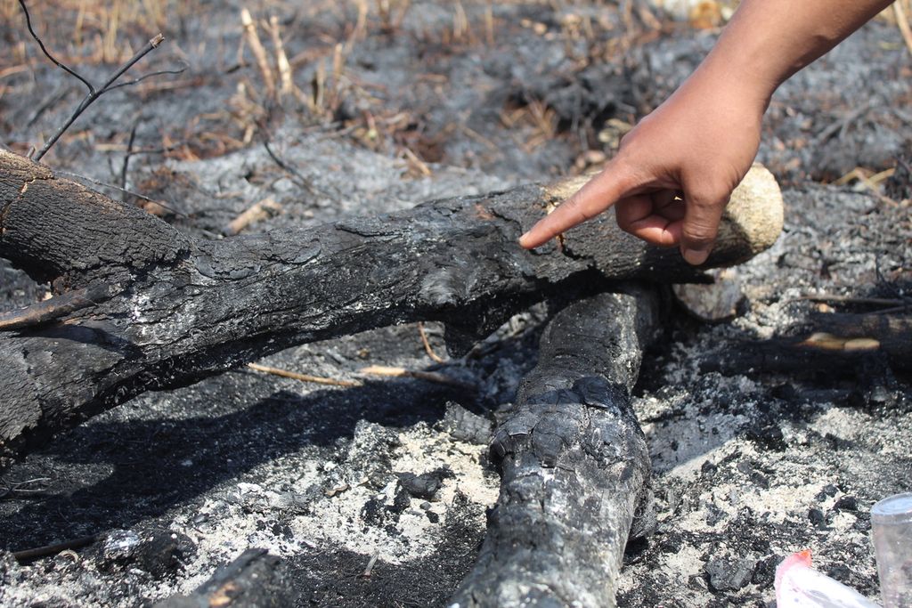 Tumpukan kayu yang diduga jadi sumber kebakaran di sebuah lahan seluas 0,80 hektar di Jalan Mahir-Mahar, Kota Palangkaraya, Kalteng, Minggu (30/7/2023). 