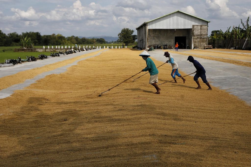 Pekerja sedang menjemur gabah sebelum digiling di tempat penggilingan padi di Desa Kramat, Dempet, Kabupaten Kudus, Jawa Tengah, Jumat (3/3/2023). Badan Pangan Nasional sedang merumuskan harga pembelian pemerintah gabah dan beras terbaru untuk melindungi petani di tengah panen raya semester satu tahun ini.