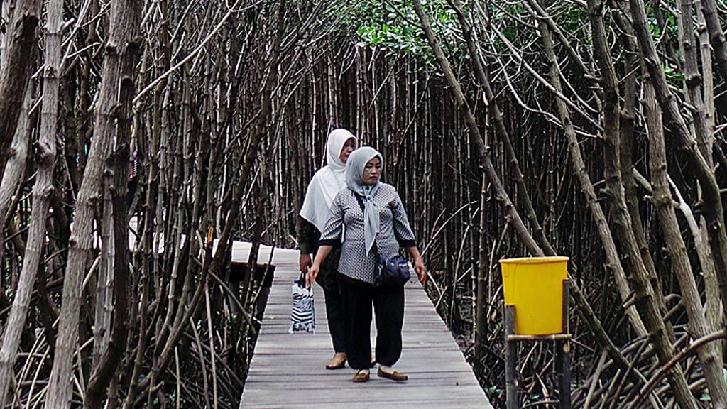 Para pengunjung berfoto di kawasan ekowisata Tracking Mangrove, Dukuh Pandansari, Desa Kaliwlingi, Kecamatan Brebes, Kabupaten Brebes, Jawa Tengah, Minggu (4/2). Dari tambak yang tergerus abrasi, dukuh Pandansari berbenah. 