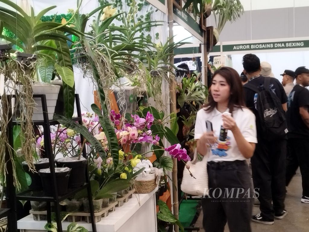 Salah seorang pengunjung tengah melihat pameran tanaman hias dalam Floriculture Indonesia International Expo 2023, di ICE BSD, Kabupaten Tangerang, Kamis (28/9/2023).