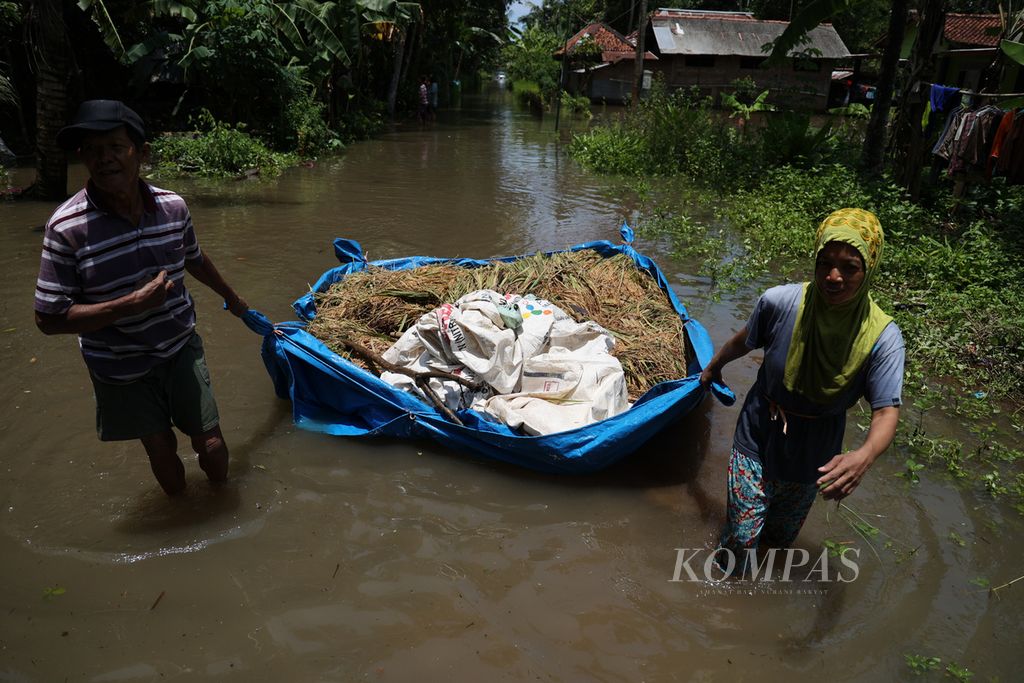 Petani menyelamatkan padi mereka yang terkena banjir di Desa Kedungmulyo, Butuh, Kabupaten Purworejo, Jawa Tengah, Rabu (16/3/2022). Sedikitnya 140 warga mengungsi di tempat itu karena tempat tinggal mereka diterjang banjir. Banjir juga mengakibatkan petani kehilangan padi yang sudah siap panen.