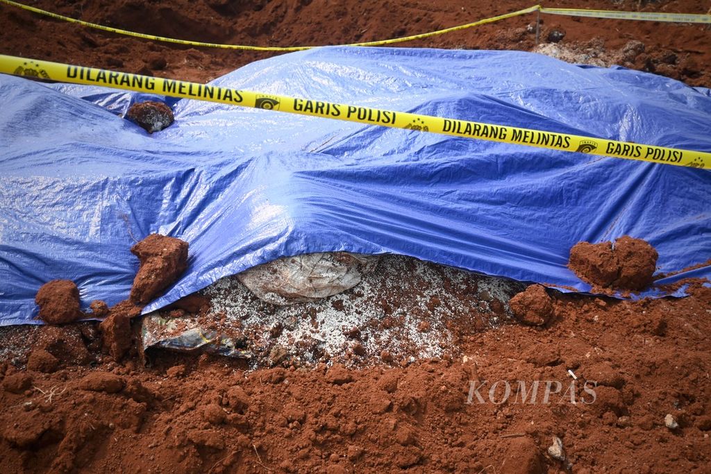Butir-butir beras berserakan di lokasi ditemukan berkarung-karung beras yang dikubur di sebuah lahan kosong, di Jalan Tugu Jaya, Kelurahan Tirtajaya, Kecamatan Sukmajaya, Kota Depok, pada Minggu (31/7/2022) siang.