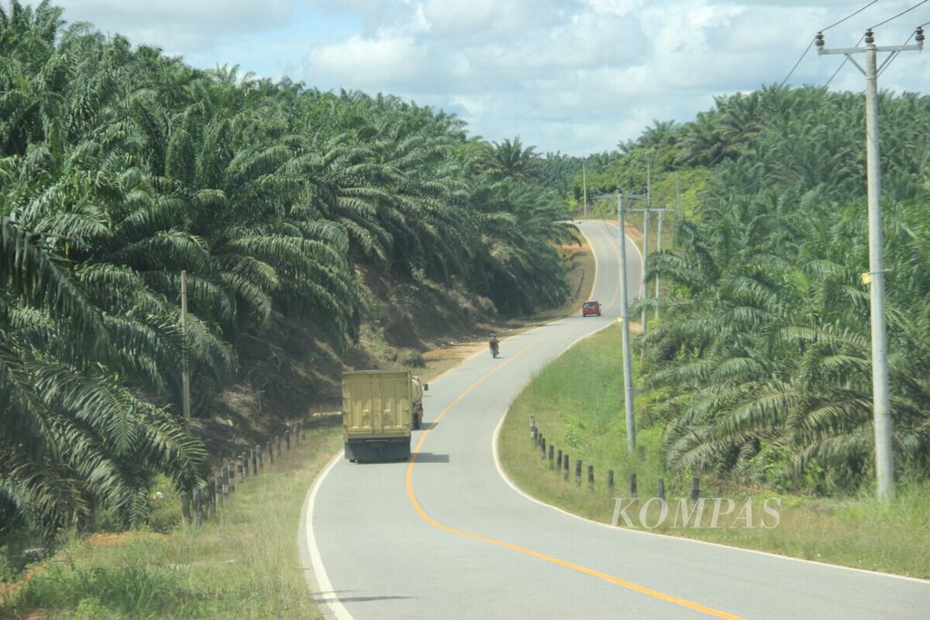 Salah satu lokasi perkebunan sawit di pinggir jalur Trans-Kalimantan di Kalimantan Barat, awal Desember 2021. 