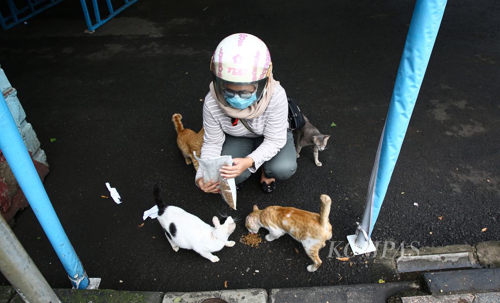 Warga memberi makan kucing-kucing liar di kawasan Bundaran Hotel Indonesia, Jakarta Pusat pada libur akhir pekan, Sabtu (3/4/2021). 