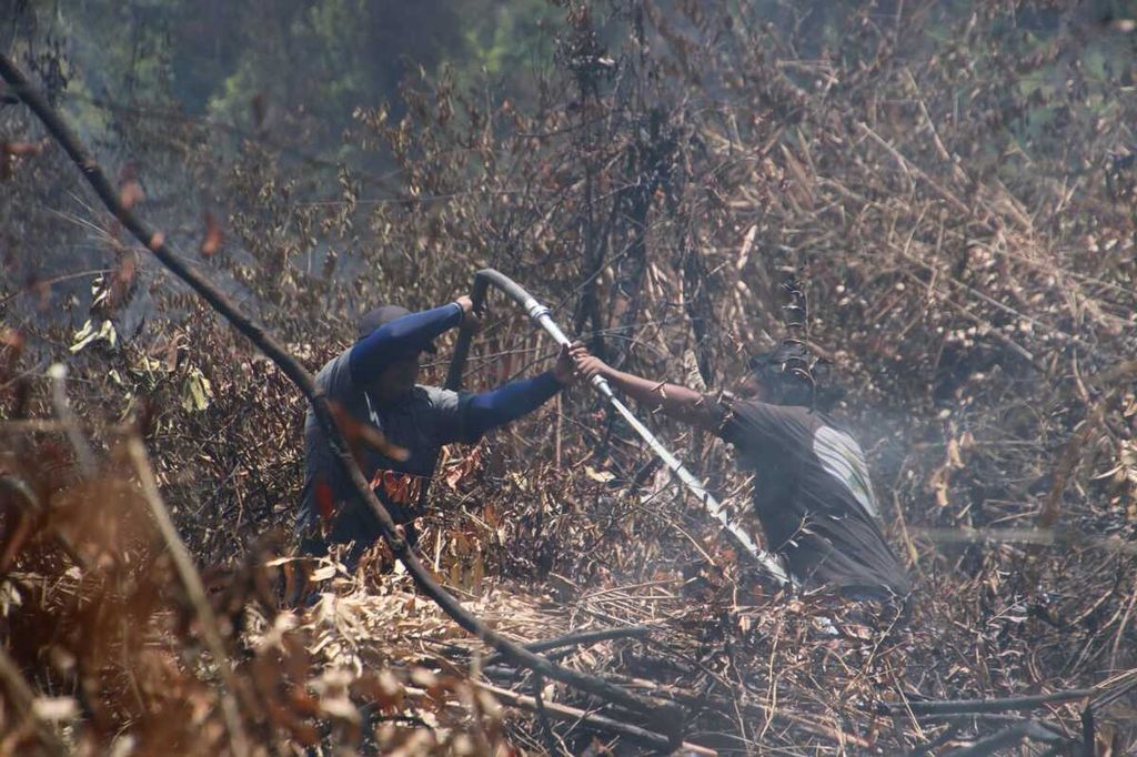 Tim berupaya memadamkan api di wilayah Taman Nasional tanjung Puting, Kabupaten Kotawaringin Barat, Kalimantan Tengah, akhir September 2023.