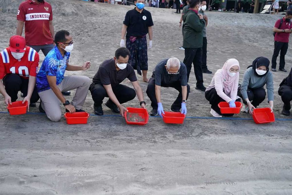  Wakil Presiden Ma'ruf Amin beserta Ibu Wury Ma’ruf Amin melepas anak penyu atau tukik di Pantai Kuta yang terletak di belakang Kuta Beach Sea Turtle Conservation Center (KBSTCC), Badung, Bali, Selasa Pagi (10/5/2022). 