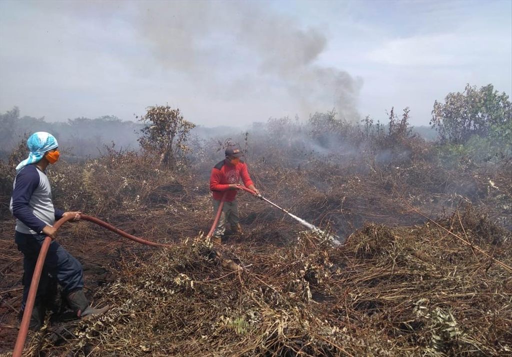 Petugas memadamkan api di lahan terbakar di Kabupaten Aceh Barat Daya, Aceh Kamis, (4/7/2019). Seluas 39,5 hektar lahan gambut terbakar di Aceh.