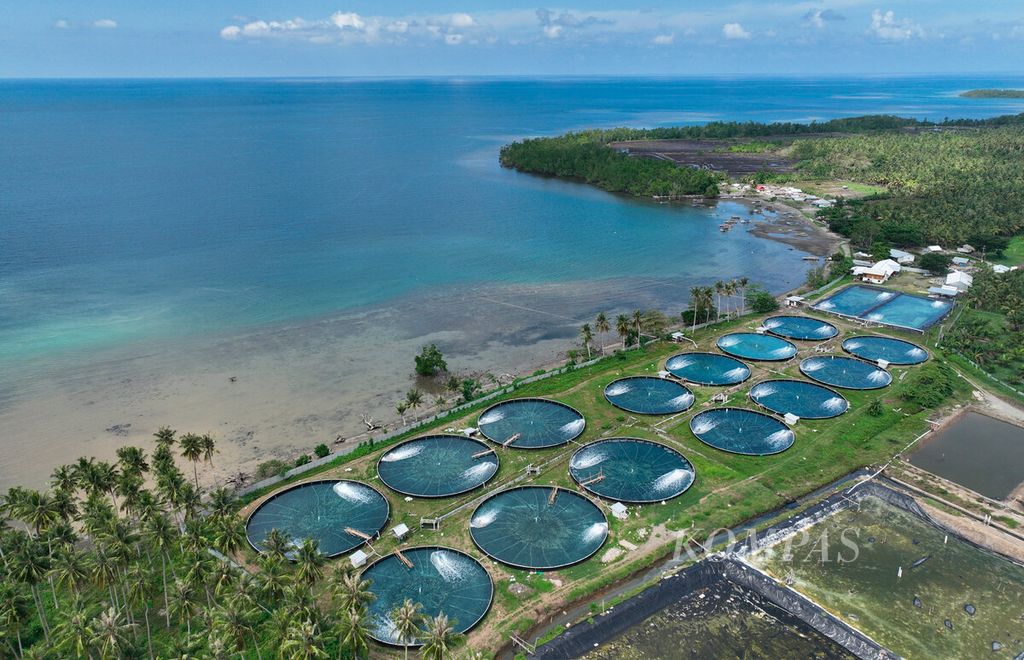Tambak udang milik Karman Karim yang menggunakan metode kolam bioflok di Desa Buranga, Kecamatan Ampibabo Kabupaten Parigi Moutong, Sulawesi Tengah, Kamis (22/6/2023). 