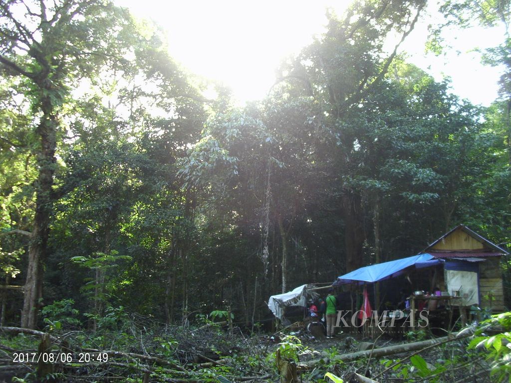 Durian di salah satu lokasi di Kecamatan Singkawang Timur, Kota Singkawang, Kalimantan Barat, Minggu (25/9/2022).
