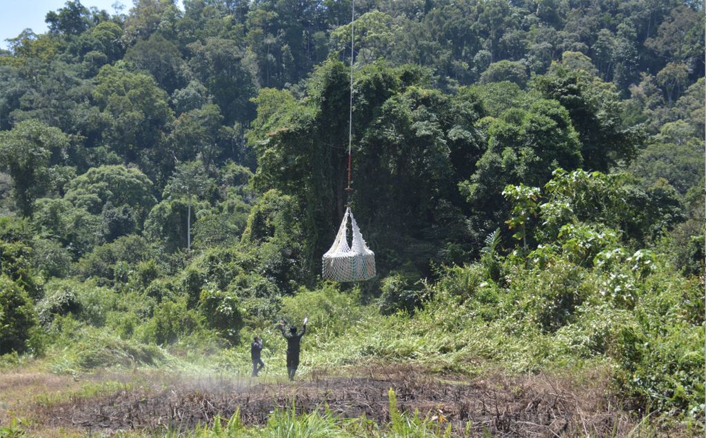 Helikopter mengangkut kandang-kandang beserta orangutan di dalamnya untuk dilepasliarkan di Hutan Lindung Bukit Batikap, Kabupaten Murung Raya, Kalimantan Tengah, Senin (6/11/2023). Setidaknya 12 orangutan kembali ke rumah baru mereka.