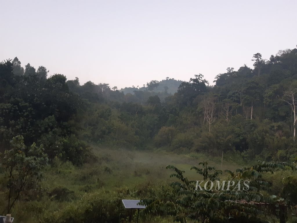 Suasana di Pusat Riset Way Rilau yang berada di dalam Hutan Lindung Batutegi, Lampung, Minggu (17/9/2023). Kehadiran pusat riset itu diharapkan dapat mendorong kegiatan penelitian di Hutan Lindung Batutegi. 