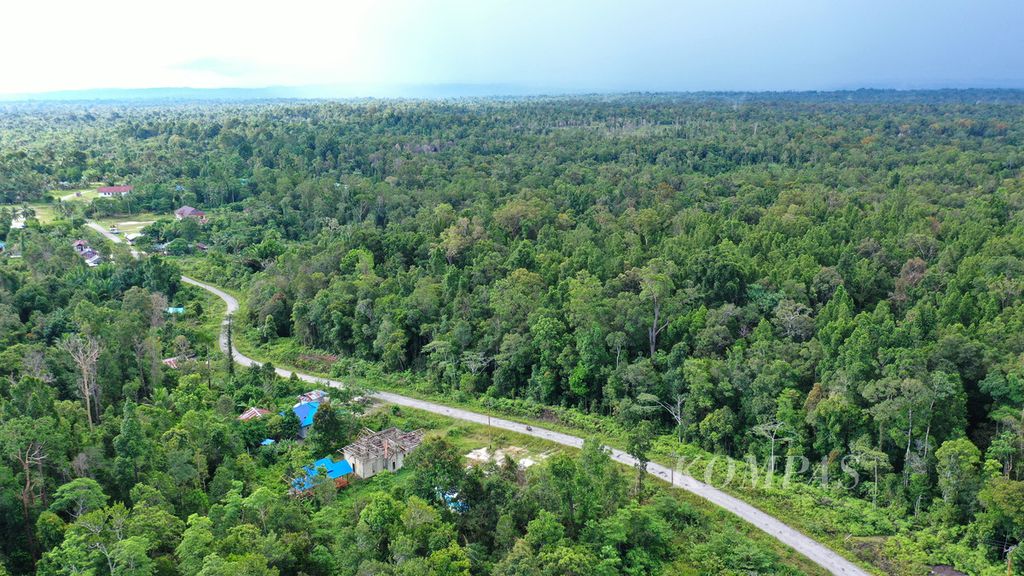 Hutan mengelilingi kawasan permukiman warga di Distrik Konda, Sorong Selatan, Papua Barat, Rabu (9/6/2021). Masyarakat setempat menolak rencana kehadiran perkebunan sawit di kawasan mereka.