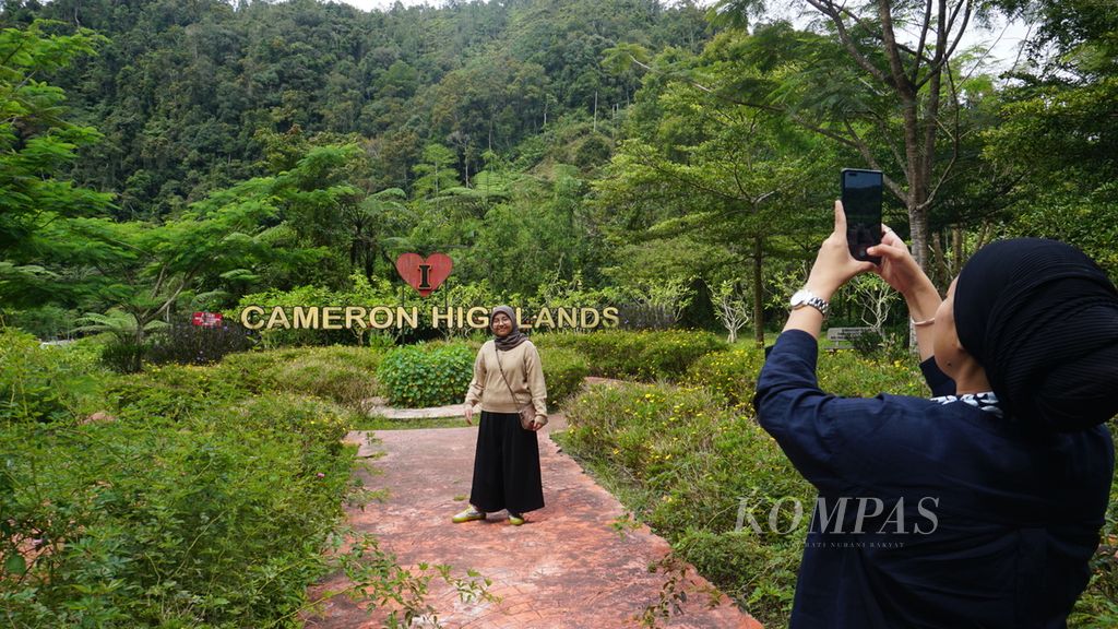 Pengunjung berfoto di taman yang berada di Dataran Tinggi Cameron, Pahang, Malaysia, Rabu (1/6/2022).