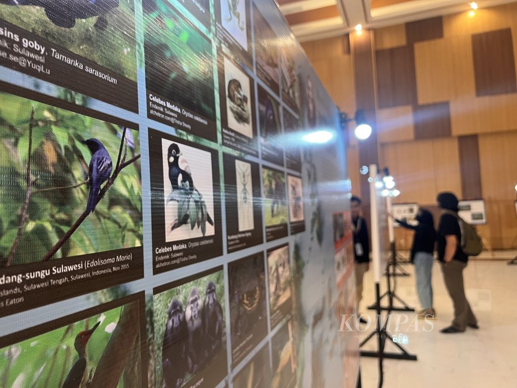 Pengunjung melihat pameran foto bertema temuan dan jejak sejarah naturalis Alfred Russel Wallace di Univeristas Hasanuddin, Senin (14/8/2022). Pameran ini merupakan rangkaian peringatan 200 tahun Wallace.