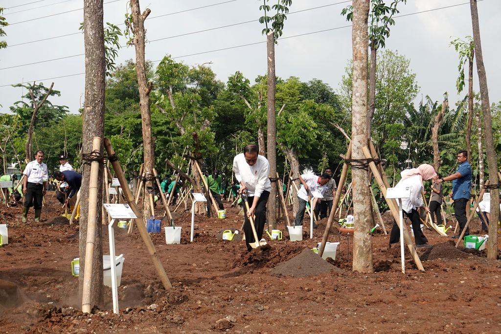 Suasana ketika Presiden Joko Widodo menanam pohon di Gerakan Tanam Pohon Bersama yang digelar di Hutan Kota JIEP Kawasan Industri Pulogadung, Jakarta Timur, Rabu (29/11/2023). Gerakan tanam pohon bersama dilakukan dalam rangka mengantisipasi perubahan iklim dan pemanasan global.