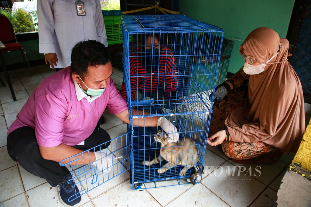 Petugas berusaha memberi suntikan vaksin rabies pada kucing peliharaan warga di RW 003 Kelurahan Meruya Selatan, Kecamatan Kembangan, Jakarta Barat, Rabu (27/7/2022). Vaksinasi rabies gratis ini sebagai upaya antisipasi penyakit rabies pada hewan peliharaan.