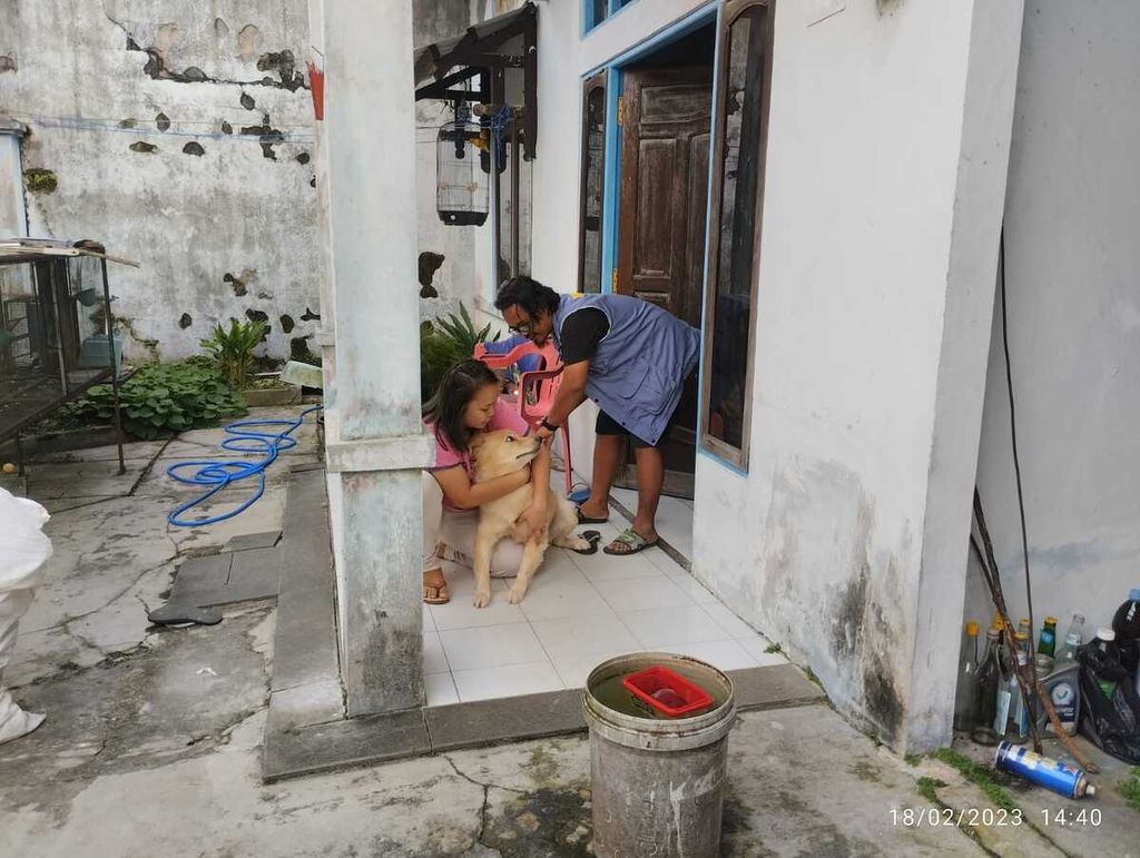 Salah satu sukarelawan pemberi vaksin rabies memvaksin salah satu anjing peliharaan di Kota Palangkaraya, Kalimantan Tengah, Jumat (17/2/2023).