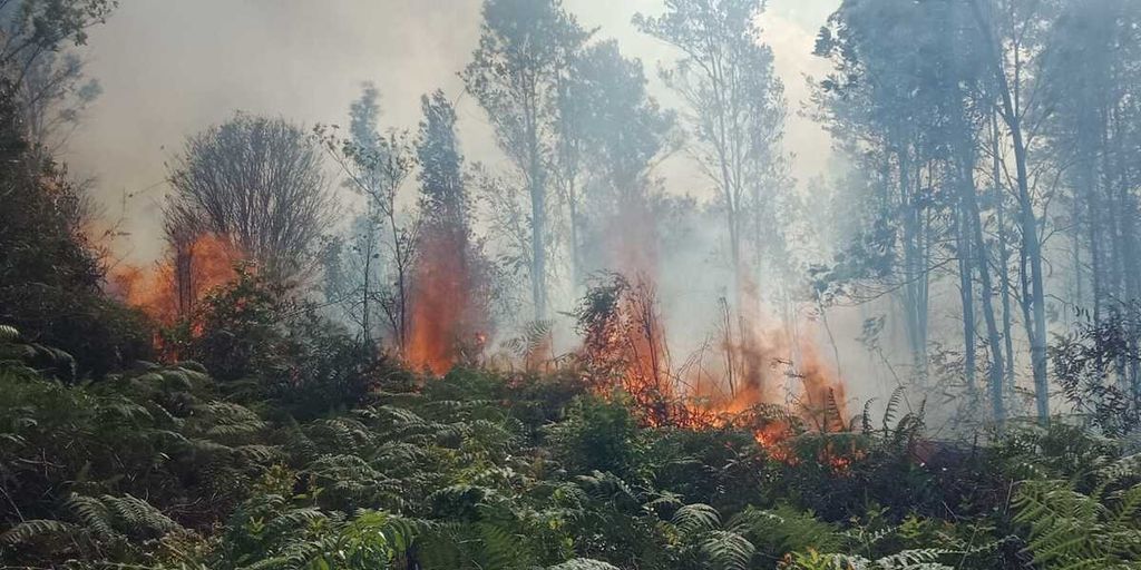 Kebakaran lahan terjadi di Kecamatan Bunguran Utara, Natuna, Kepulauan Riau, Senin (16/1/2023).