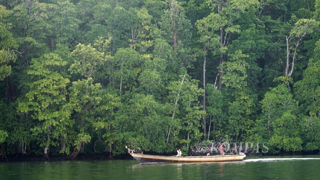 Keluarga nelayan naik perahu motor saat mencari ikan di kawasan hutan mangrove di Teluk Arguni, Kabupaten Kaimana, Papua Barat, Kamis (15/6/2023).  
