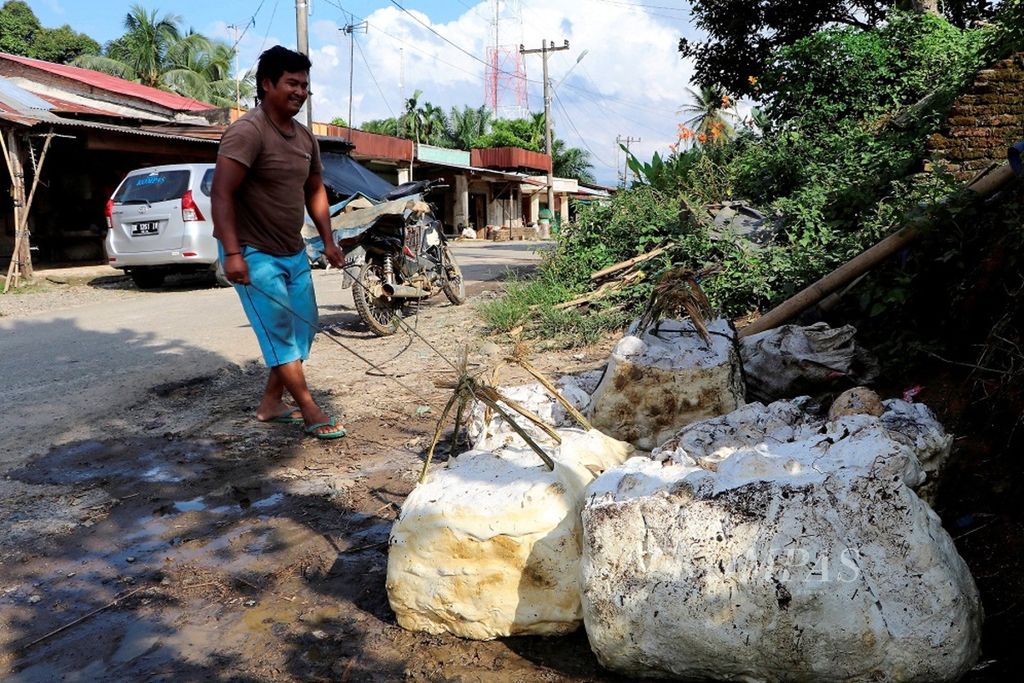 Petani mengumpulkan getah karet di Desa Tiga Juhar, Kecamatan Sinembah Tanjung Muda Hulu, Kabupaten Deli Serdang, Sumatera Utara,