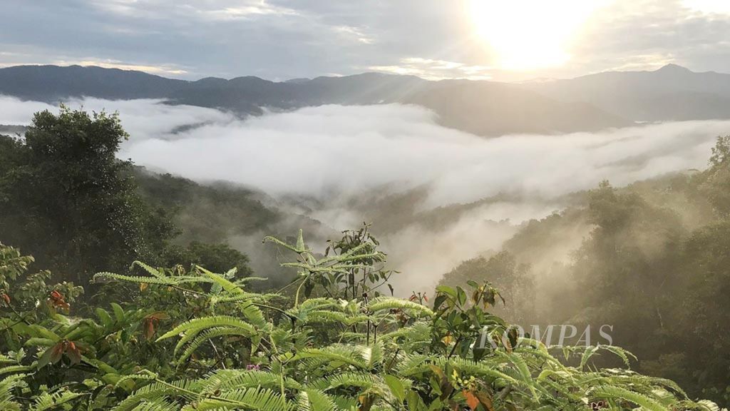 Pemandangan dari Pegunungan Petik Bintang di Kabupaten Maybrat, Papua Barat, ketika matahari baru terbit, Minggu (9/9/2018).