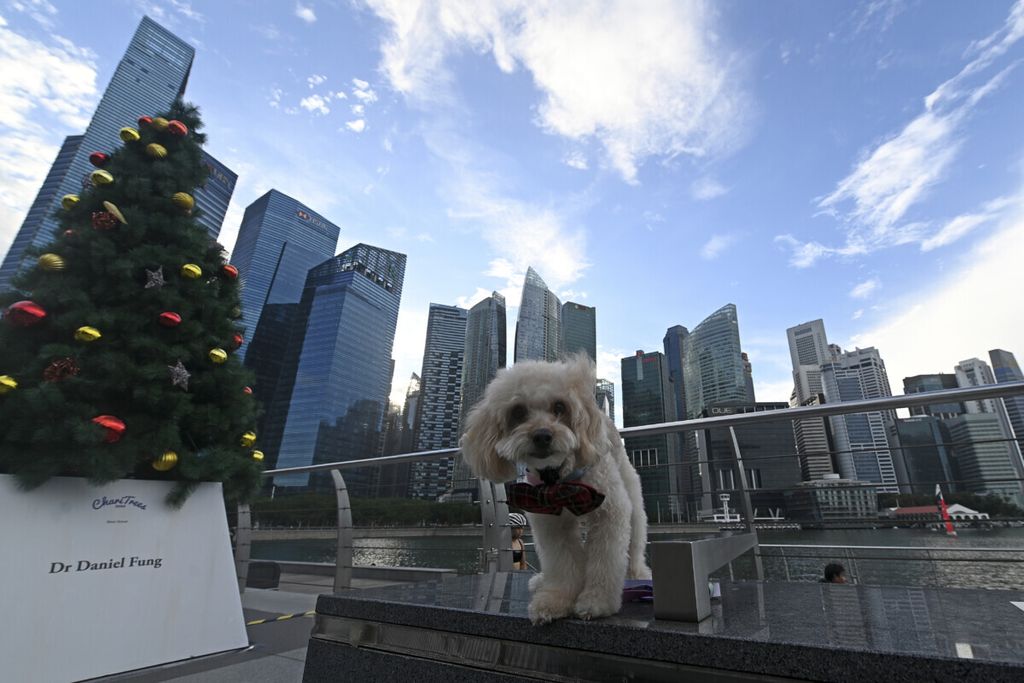 Seekor anjing berdiri di atas bangku di area pejalan kaki di Marina Bay, Singapura, 11 Desember 2020. 