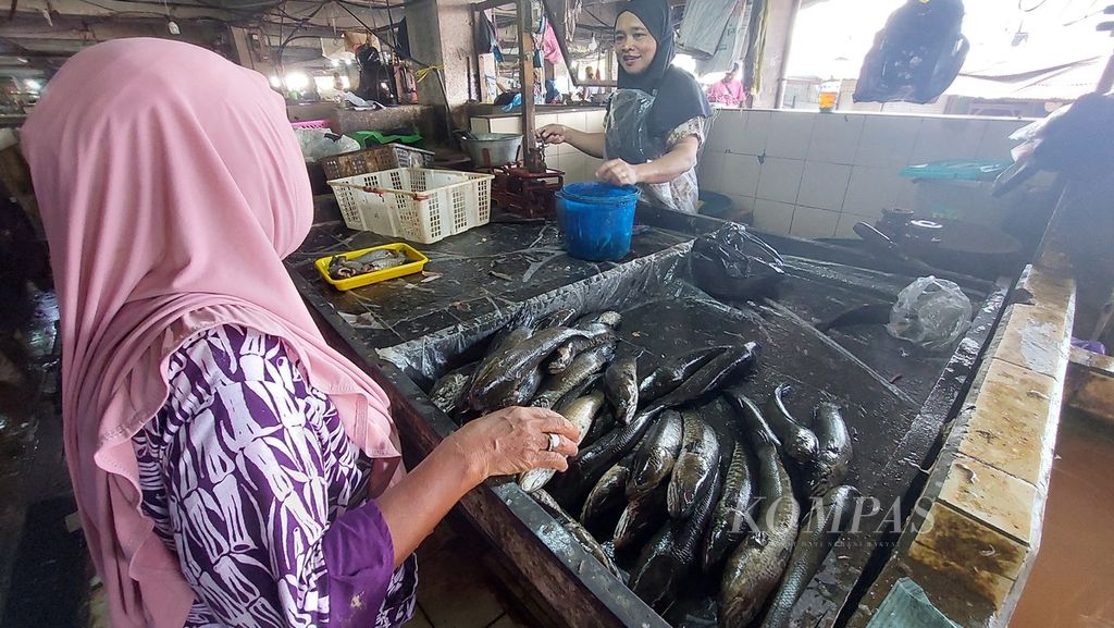Warga membeli ikan gabus atau haruan di Pasar Sentra Antasari, Banjarmasin, Kalimantan Selatan, Sabtu (1/10/2022). 
