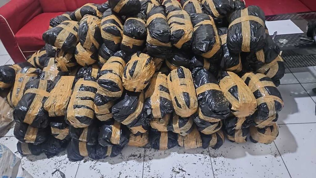 A package containing dry marijuana was seized from a suspect in Nagan Raya Regency, Aceh, on Thursday (2/5/2024). The marijuana was intended to be distributed all the way to Java Island.