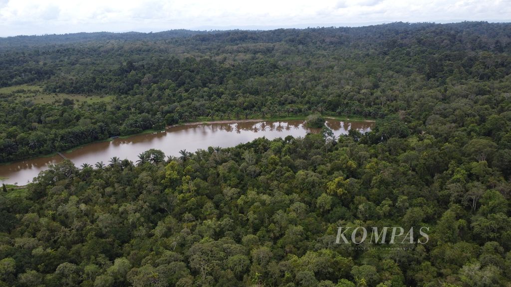 Foto udara Hutan Lindung Sungai Wain yang merupakan rimba terakhir di Kota Balikpapan, Kalimantan Timur, Minggu (5/2/2023).