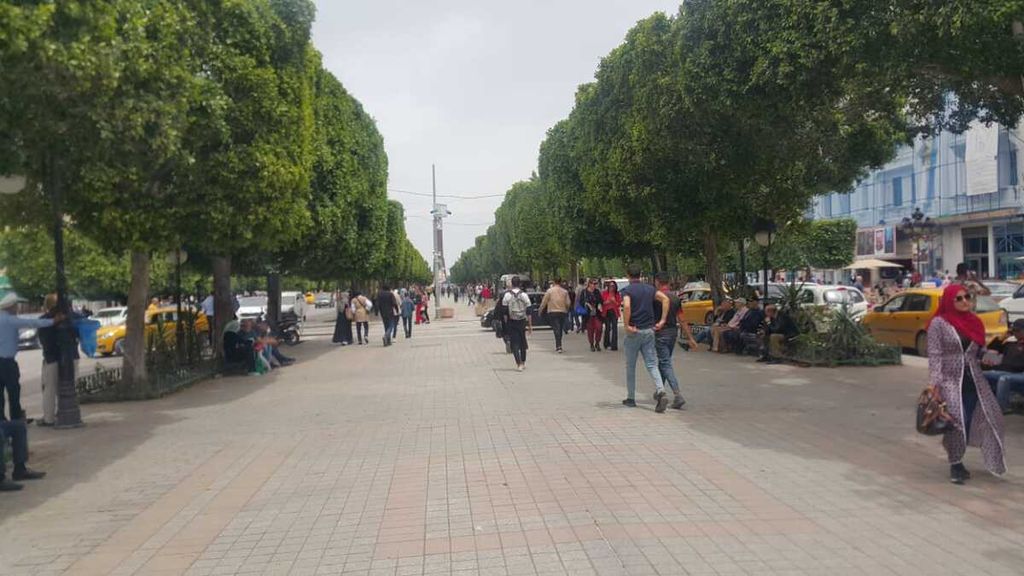 Pemandangan Jalan Habib Bourguiba di pusat kota Tunis, Tunisia, yang indah dan rindang, seperti terlihat pada Selasa, 6 Juni 2023. Jalan tersebut menjadi pusat tempat santai dan jalan-jalan bagi warga Tunisia.