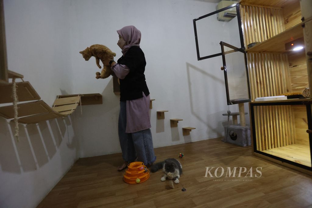 Sejumlah kucing diinapkan oleh pemiliknya di Skypiea Pet and Vet, Kabupaten Sleman, Daerah Istimewa Yogyakarta, Minggu (24/7/2022).