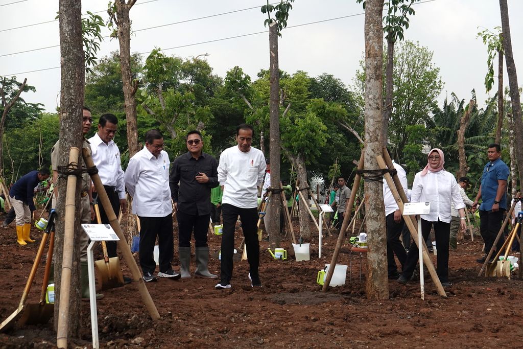 Presiden Joko Widodo berjalan di antara pohon-pohon yang sudah berukuran besar yang ditanam di Gerakan Tanam Pohon Bersama yang digelar di Hutan Kota JIEP Kawasan Industri Pulogadung, Jakarta Timur, Rabu (29/11/2023). 