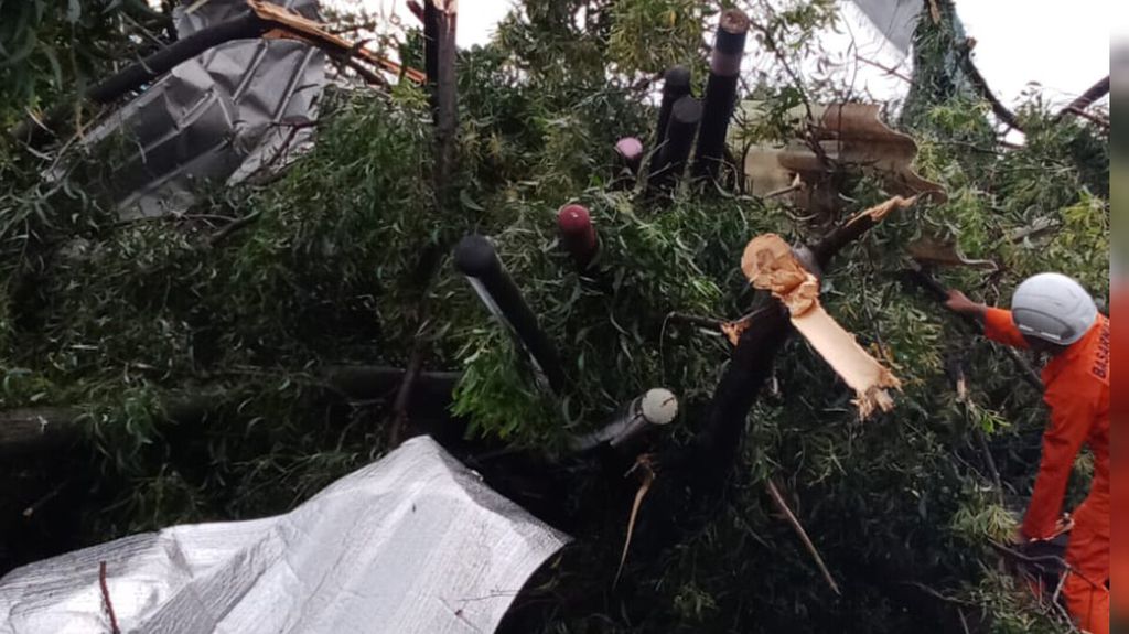 Pohon tumbang akibat angin puting beliung di salah satu kecamatan di Kabupaten Sumedang, Jawa Barat, Rabu (21/2/2024). Dua orang terluka dalam peristiwa ini.
