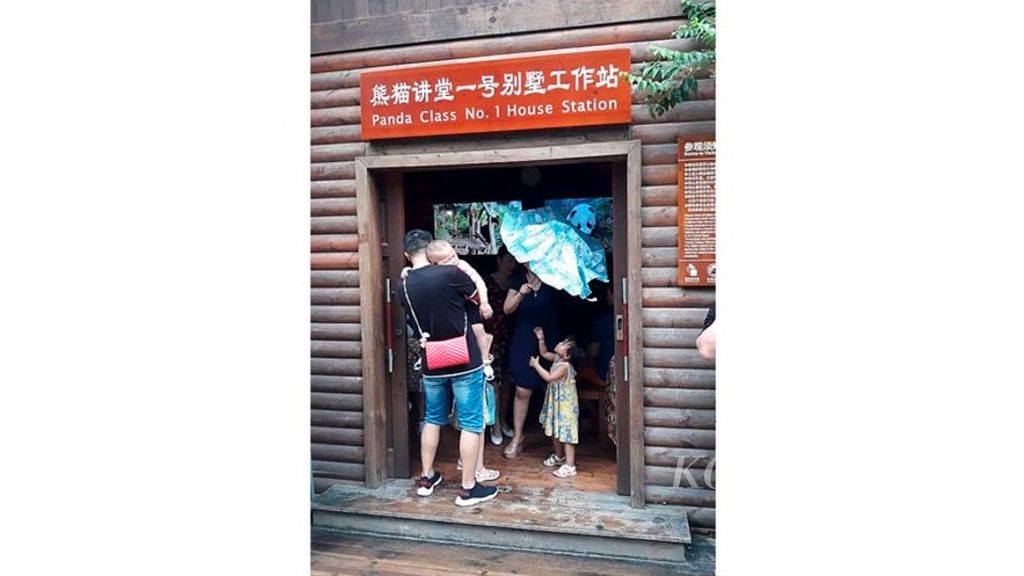 Lounge dan ruangan kelas untuk belajar bagi anak-anak mengenal seluk beluk panda di Giant Panda Research Centre di Kota Chengdu, Provinsi Sichuan, China.