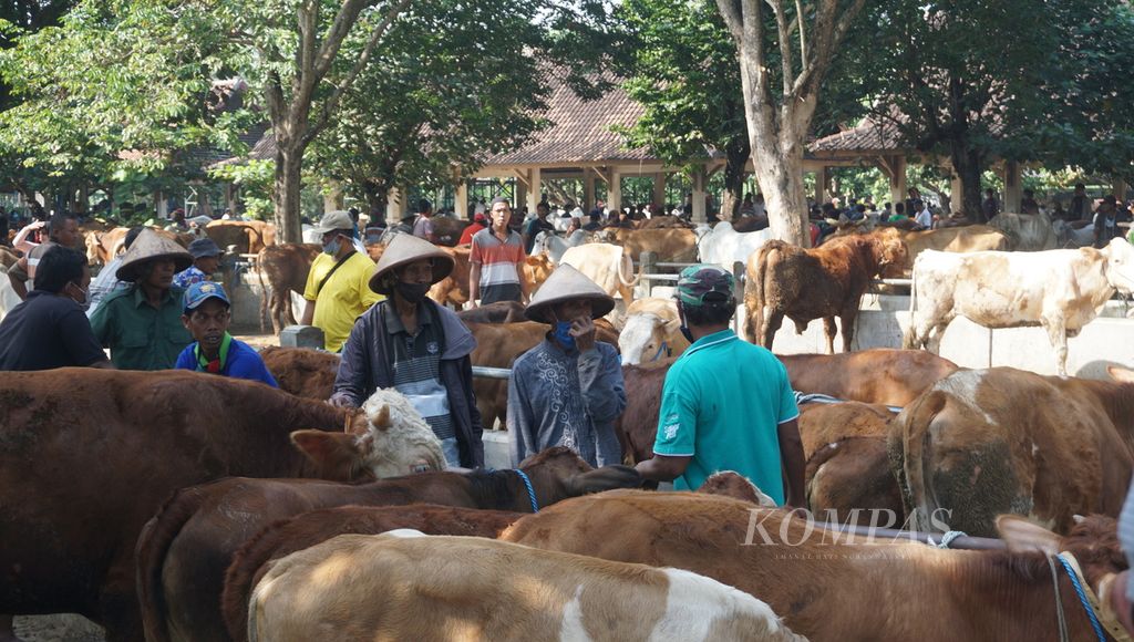 Para pedagang menunggu sapi yang dijual di Pasar Hewan Ambarketawang, Kecamatan Gamping, Kabupaten Sleman, Daerah Istimewa Yogyakarta, Rabu (15/7/2020). Terjadi peningkatan transaksi sebesar 10 persen menjelang perayaan Idul Adha.