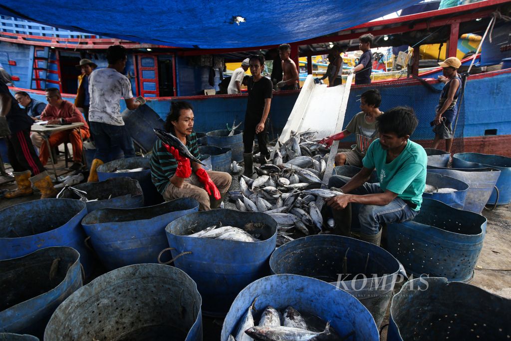 Pekerja memilah ikan tuna tangkapan nelayan di Pelabuhan Perikanan Samudera Nizam Zachman, Muara Baru, Jakarta Utara, Rabu (22/5/2024). 