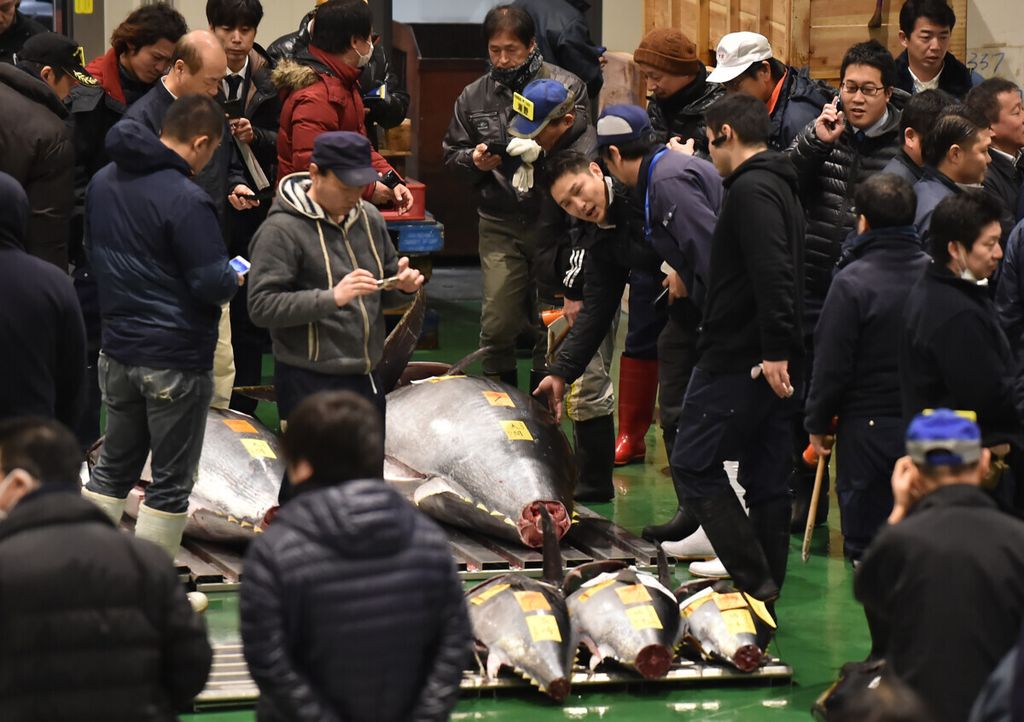 Pedagang berkumpul di sekitar tuna sirip biru berukuran raksasa (kanan) dalam lelang Tahun baru tuna sirip biru di Pasar Toyosu di Tokyo, Jepang, Sabtu (5/1/2019). Ikan raksasa terjual dengan harga 3,1 juta dollar AS dan merupakan rekor harga ikan termahal. 