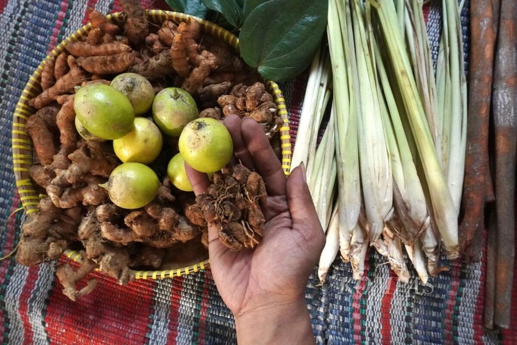 A herbal medicine maker shows ingredients for making herbal medicine, Friday (11/8/2019) in Sembangdesa Village, Tulis District, Batang Regency, Central Java.