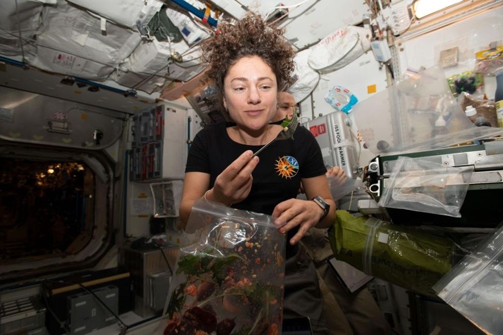 Antariksawan Badan Penerbangan dan Antariksa Nasional Amerika Serikat atau NASA, Jessica Meir, sedang menikmati salad segar sawi jepang atau mizuna di Stasiun Luar Angkasa Internasional (ISS) pada 30 Oktober 2019.