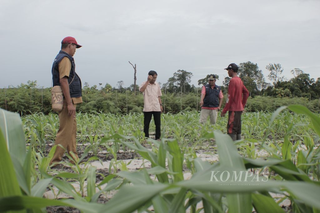 Para petani berbincang sebelum memanen sejumlah sayuran di demplot yang didampingi Yayasan PAL, Kamis (27/10/2022). Hasil panen itu dijual dan hasilnya dikelola langsung kelompok tani.