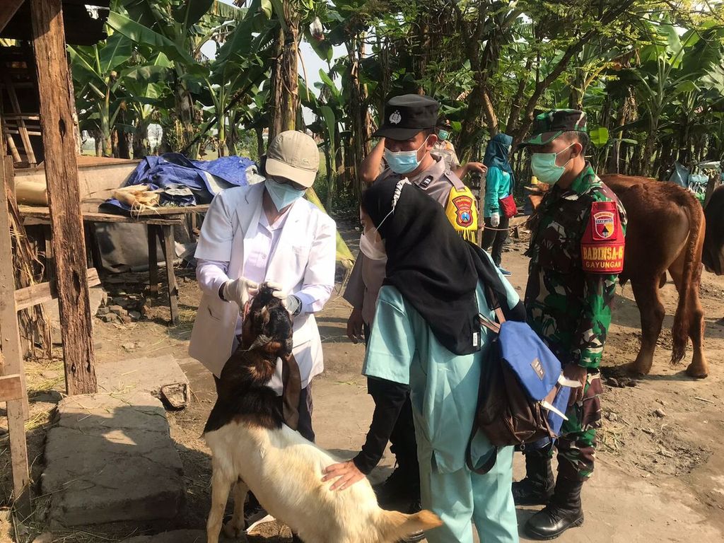 Petugas dari Dinas Ketahanan Pangan dan Pertanian Kota Surabaya pada Rabu (29/6/2022) sedang melakukan pemeriksaan kesehatan hewan yang dijual untuk keperluan Idul Adha di sekitar Gayungan Surabaya.