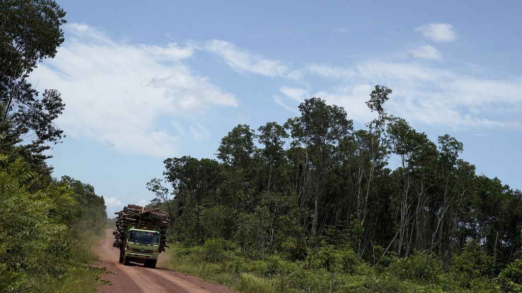 Truk membawa kayu tebangan hutan di Distrik Animha, Kabupaten Merauke, Papua, Jumat (11/11/2022). 