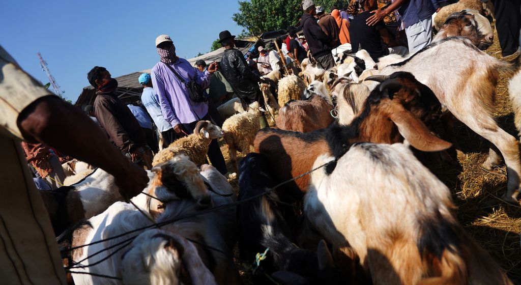 Sejumlah pedagang menjajakan domba dan kambing di Pasar Hewan Jonggol, Kabupaten Bogor, Jawa Barat, Senin (27/7/2020). 