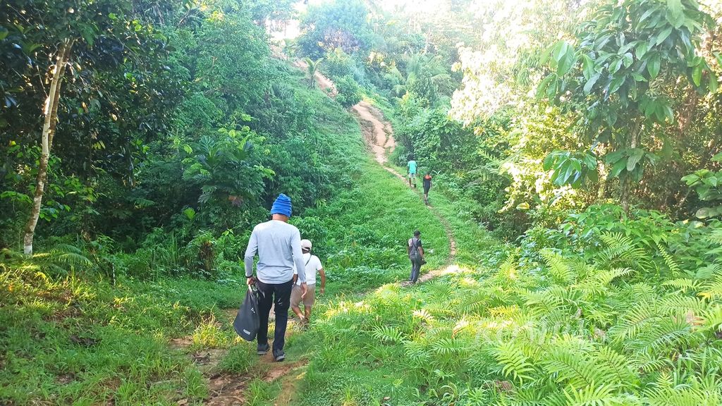 Tim Ekspedisi Tanah Papua, 9 Juni 2021, berjalan menelusuri Hutan Desa Sira-Manggroholo di Sorong Selatan, Papua Barat. Ini merupakan hutan desa pertama yang ditetapkan statusnya di Papua oleh Menteri Lingkungan Hidup dan Kehutanan pada 2014.
