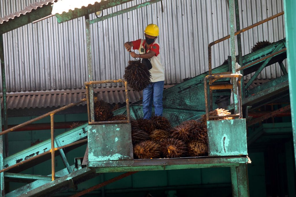 Pekerja menyortir janjang kelapa sawit PT Sawit Sumbermas Sarana Tbk (SSMS) di Pangkalan Bun, Kalimantan Tengah, Kamis (29/4/2021).  
